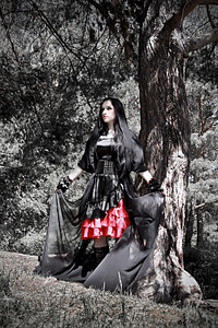 click for enlarge 1000 X 1500 345.1 Kb picture