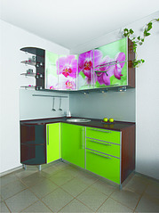 click for enlarge 1194 X 1600 341.1 Kb picture