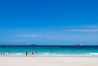 click for enlarge 800 X 536  76.9 Kb picture