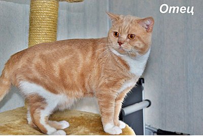 click for enlarge 800 X 536  74.3 Kb picture