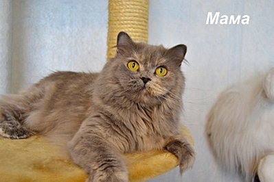 click for enlarge 800 X 533 104.7 Kb picture