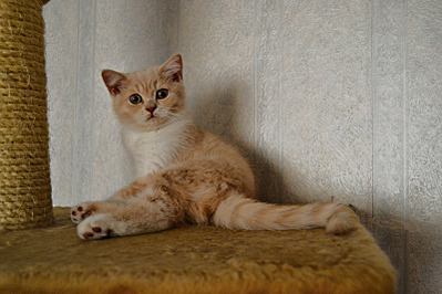 click for enlarge 800 X 533 137.8 Kb picture