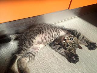 click for enlarge 1280 X 960 182.6 Kb picture