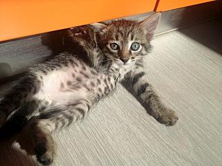 click for enlarge 1280 X 960 184.8 Kb picture