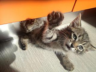 click for enlarge 1280 X 960 167.6 Kb picture