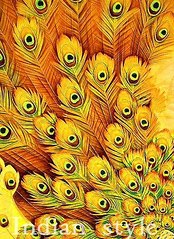 click for enlarge 320 X 440 77.1 Kb picture