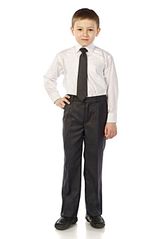 click for enlarge 452 X 687 24.6 Kb picture