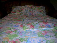 click for enlarge 1920 X 1440 648.7 Kb picture