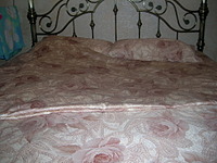 click for enlarge 1920 X 1440 890.2 Kb picture