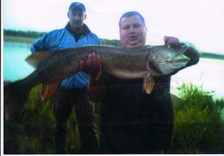 click for enlarge 1264 X 880 85.9 Kb picture