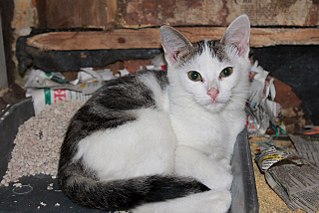 click for enlarge 1280 X 853 170.8 Kb picture