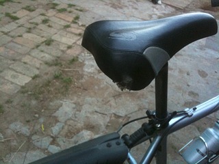 click for enlarge 1920 X 1440 671.6 Kb picture