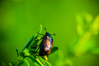 click for enlarge 1920 X 1280 325.1 Kb picture