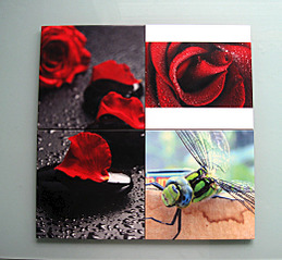 click for enlarge 1037 X 960 175.5 Kb picture