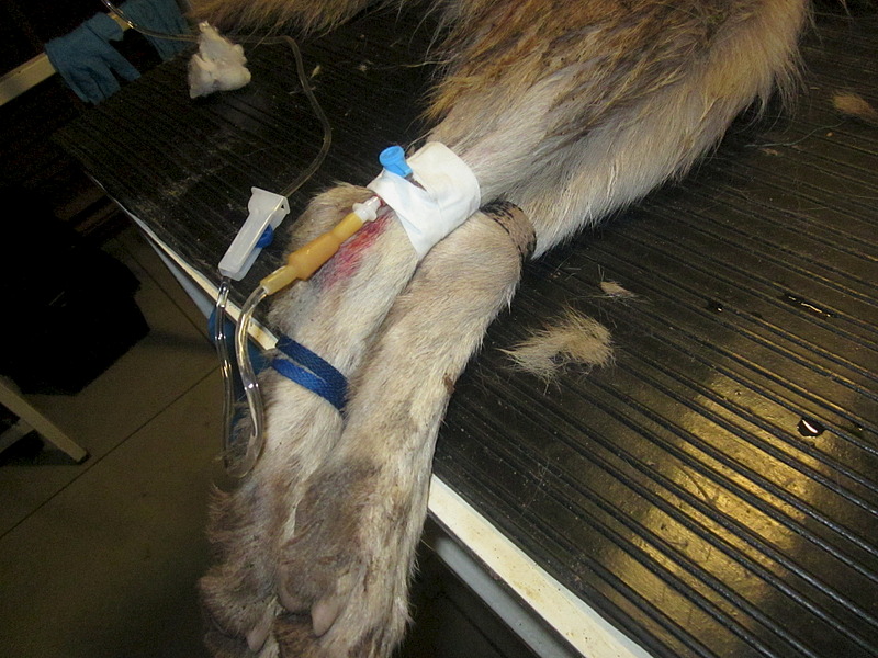 click for enlarge 1920 X 1440 700.2 Kb picture