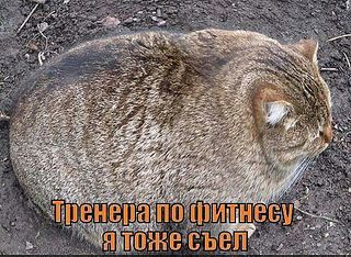 click for enlarge 500 X 366 69.3 Kb picture