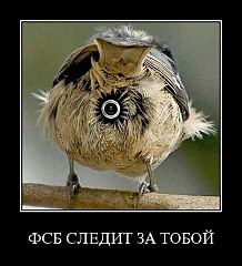 click for enlarge 436 X 480 32.4 Kb picture