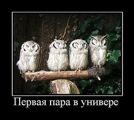 click for enlarge 495 X 444 37.5 Kb picture