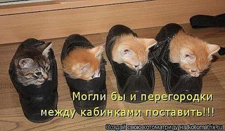 click for enlarge 600 X 351 45.0 Kb picture