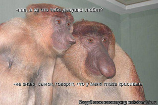click for enlarge 600 X 399 85.2 Kb picture