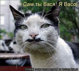 click for enlarge 470 X 426 43.0 Kb picture