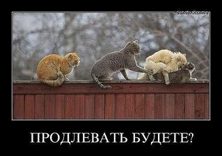 click for enlarge 600 X 423 37.2 Kb picture