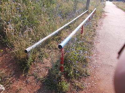 click for enlarge 1920 X 1440 567.8 Kb picture