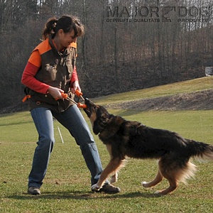 click for enlarge 700 X 700 182.5 Kb picture