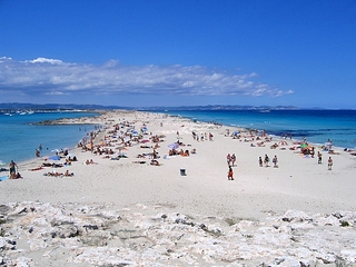 click for enlarge 600 X 450 239.2 Kb picture