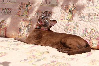 click for enlarge 1282 X 855 203.5 Kb picture