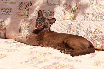 click for enlarge 1282 X 855 200.1 Kb picture