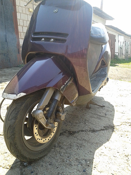 click for enlarge 1920 X 2560 426.0 Kb picture