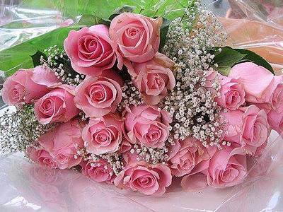click for enlarge 500 X 375  48.9 Kb picture