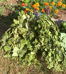 click for enlarge 600 X 673 247.1 Kb picture