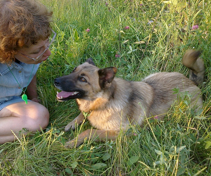 click for enlarge 1920 X 1595 493.1 Kb picture