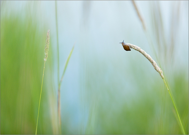 click for enlarge 1187 X 850 639.7 Kb picture