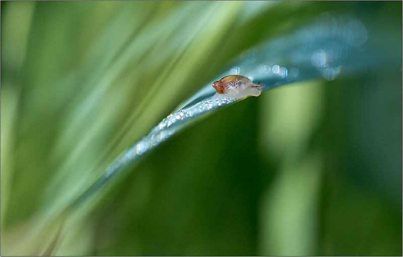 click for enlarge 1253 X 800 594.8 Kb picture