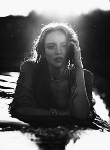 click for enlarge 585 X 800 60.3 Kb picture