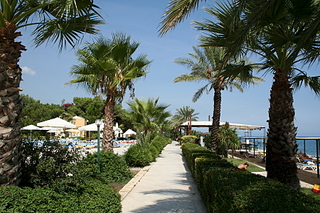 click for enlarge 900 X 600 707.0 Kb picture
