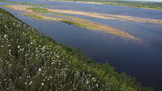 click for enlarge 1920 X 1077 656.2 Kb picture