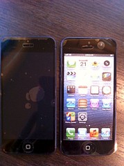 click for enlarge 478 X 640 84.7 Kb picture