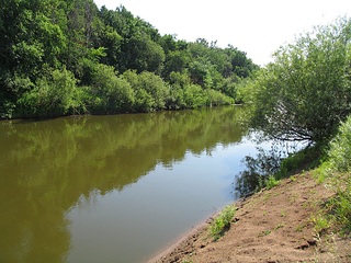 click for enlarge 1136 X 852 488.1 Kb picture