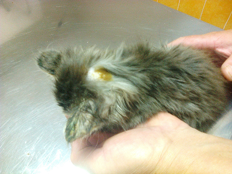 click for enlarge 1920 X 1440 858.1 Kb picture