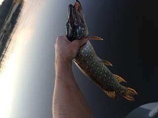 click for enlarge 1920 X 1440 386.3 Kb picture