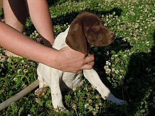 click for enlarge 640 X 480  82.7 Kb picture