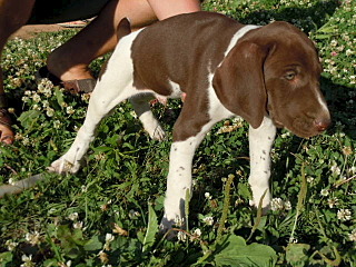 click for enlarge 640 X 480  81.1 Kb picture