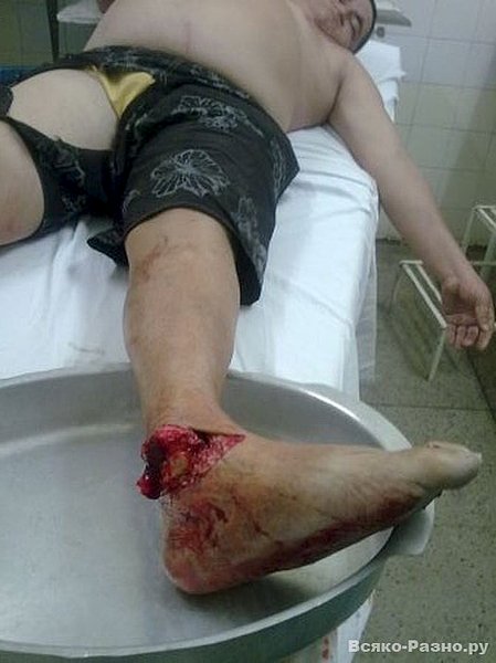 click for enlarge 524 X 700  46.2 Kb picture