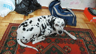 click for enlarge 1920 X 1080 503.1 Kb picture