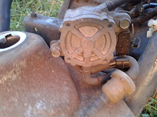 click for enlarge 640 X 480 120.8 Kb picture