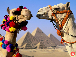 click for enlarge 800 X 600 208.1 Kb picture